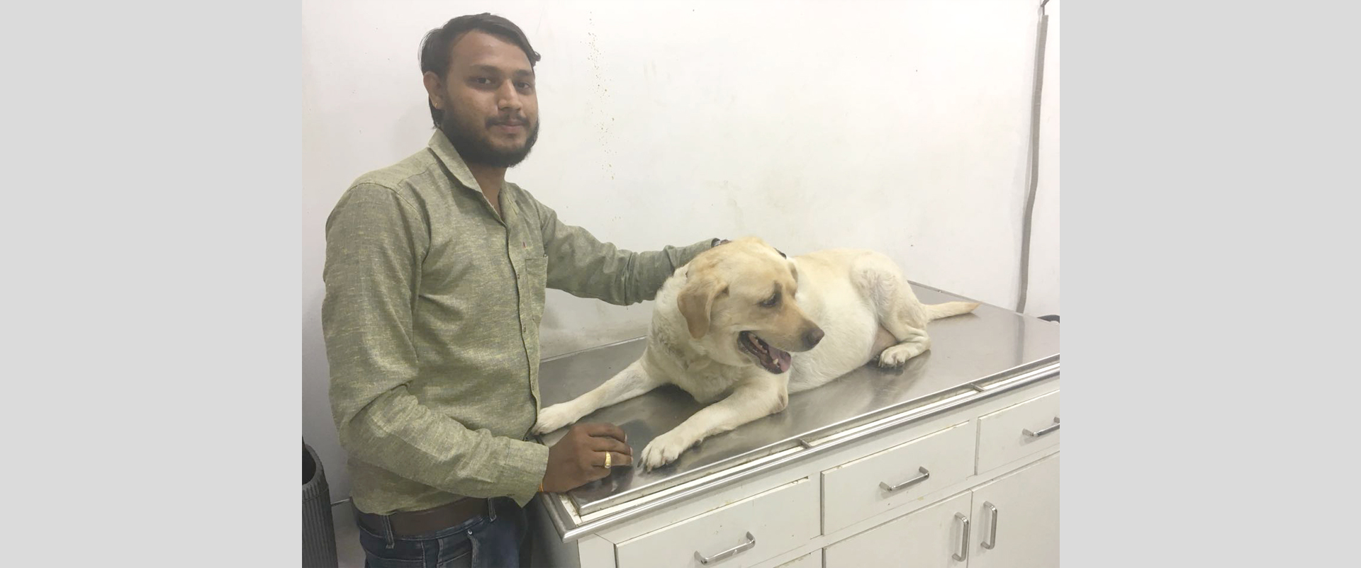 Save life of female labrador by SuperApps