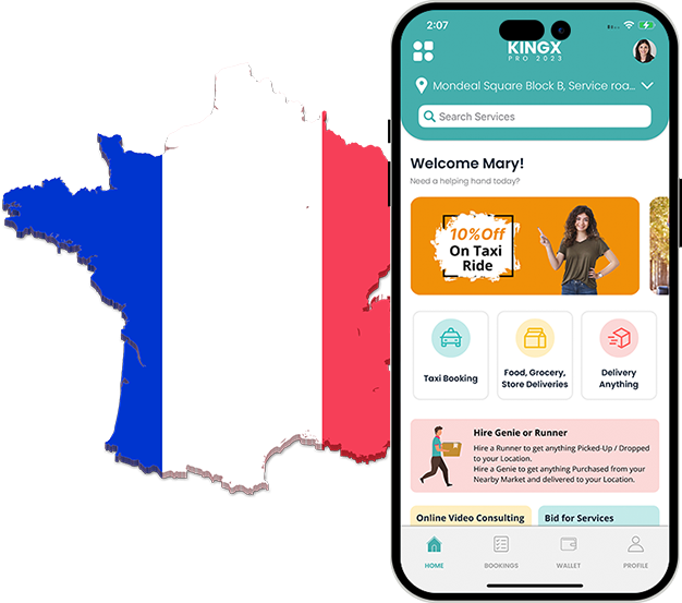Gojek clone france