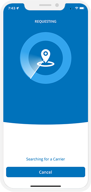 sending request to provider