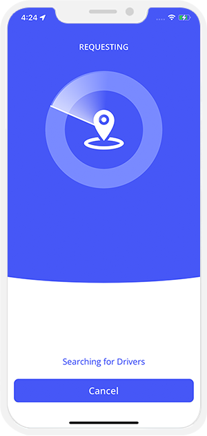 sending request to provider